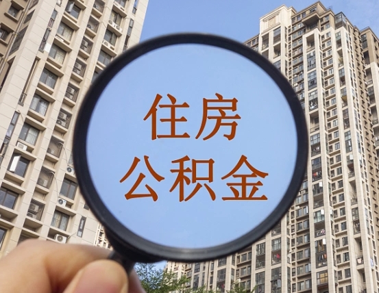 崇左退休后查不到公积金明细了吗（退休后公积金查询不到原因）